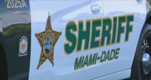 Man stabbed after fight at party, deputies say